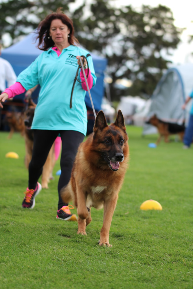 Ustinov vom Romerland